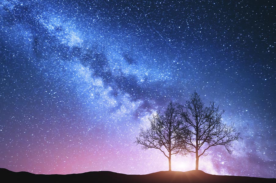 Silhouettes of two trees under a vast starry sky and glowing galaxy, symbolizing stillness, expansion, and the Ether element in tantric breathing practices.